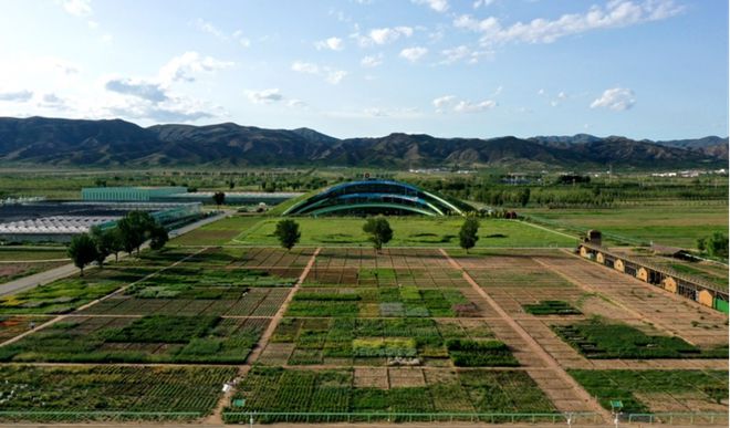 蒙草生態上市十周年:種業為本、科研當先