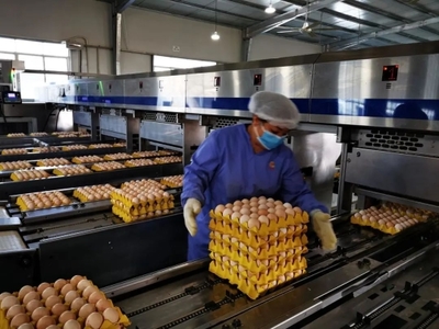 廣州入選國家級名單 種業(yè)發(fā)展獲國家認可