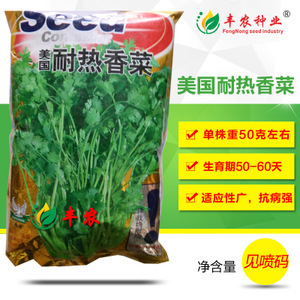 蔬菜香菜種子市場洞察 價格、供應(yīng)商與種植前景