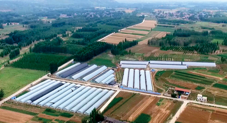 山東宇泰生物種業(yè) 聚焦種業(yè)創(chuàng)新，助力農(nóng)業(yè)強(qiáng)國(guó)建設(shè)