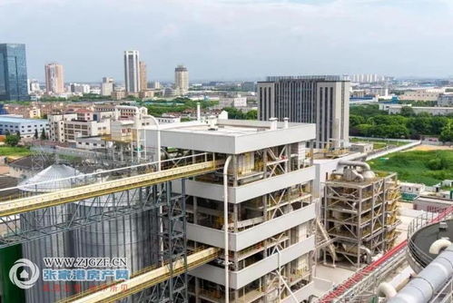 江海糧油張家港產(chǎn)業(yè)園二期榨油廠順利投產(chǎn)，年產(chǎn)96萬(wàn)噸助力種業(yè)與糧油產(chǎn)業(yè)鏈協(xié)同發(fā)展