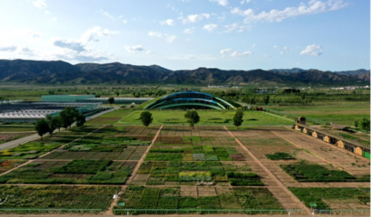 蒙草生態(tài)上市十周年 以種業(yè)為本，科研當(dāng)先，深耕生態(tài)修復(fù)的“中國(guó)草”